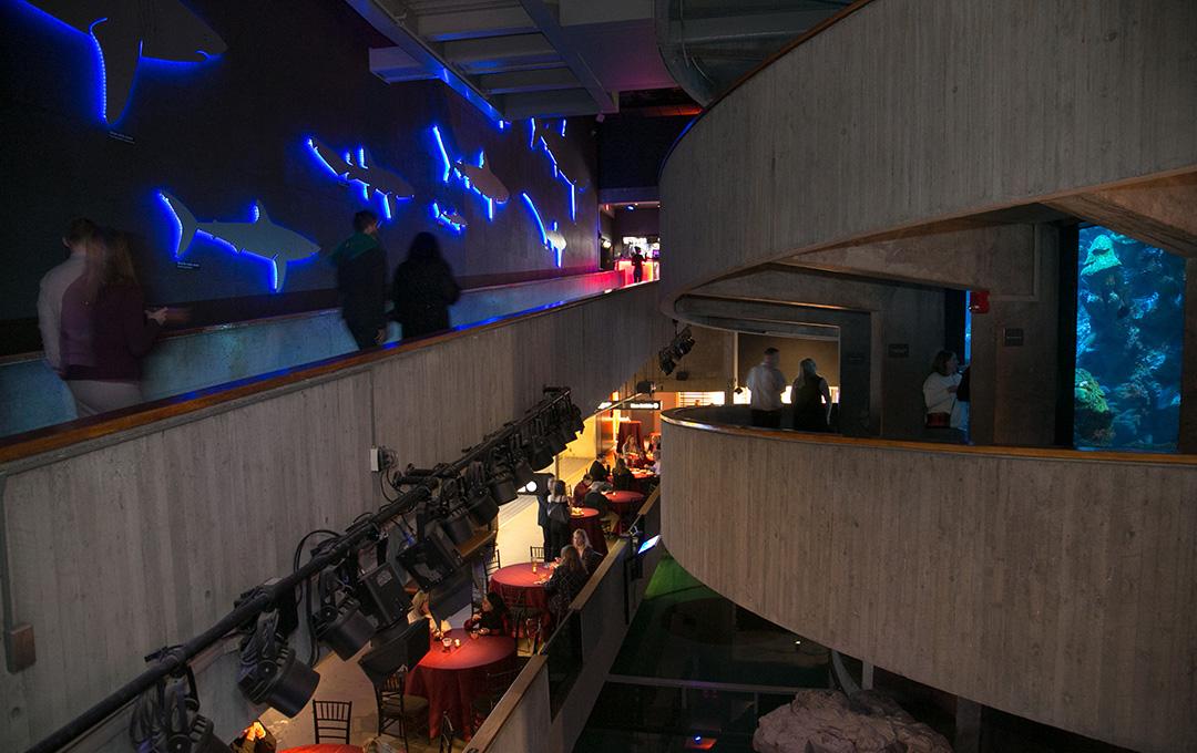 Upper View Aquarium