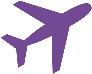 plane icon